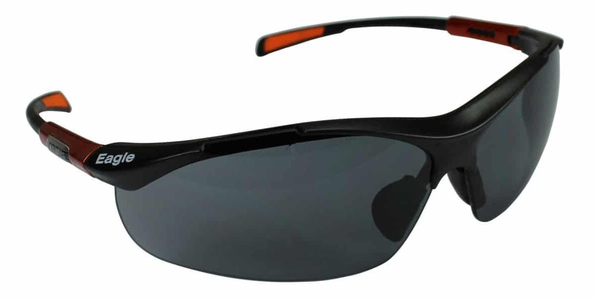 Skyddsglasögon Worksafe Eagle - Grå lins